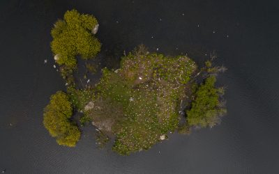 Stavanger svikter naturmangfoldet