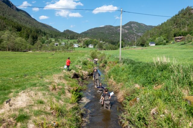 Skuleungar kartleggjer Lovrabekken i Erfjord. Foto: Jarle Lunde 