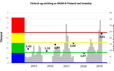 Frarår økt biomasse i laksemerder i Stavanger