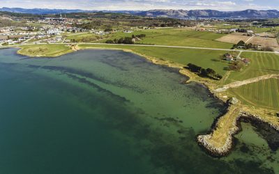 Åpne Grannesbekken til Hafrsfjord