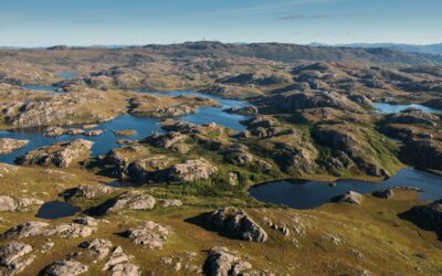 Omkamp om vindturbiner på Moifjellet