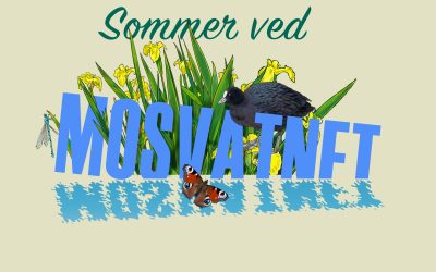 Det blir Sommer ved Mosvatnet også i år!