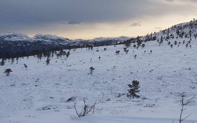 NVE sparer urørt natur