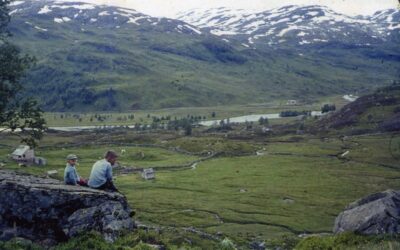 Valdalen tilbake er mulig